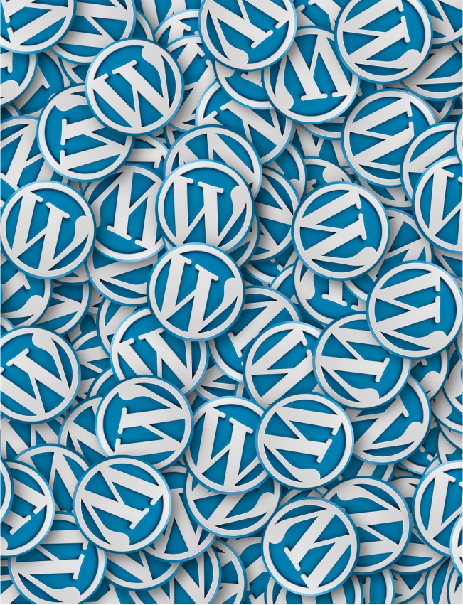 WordPress & CMS Development